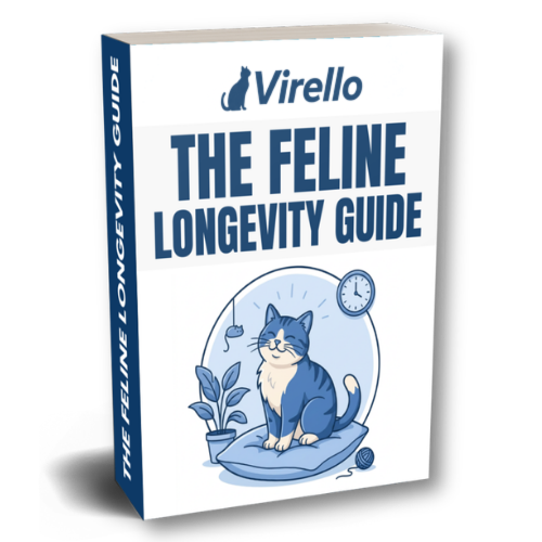 The Feline Longevity Guide
